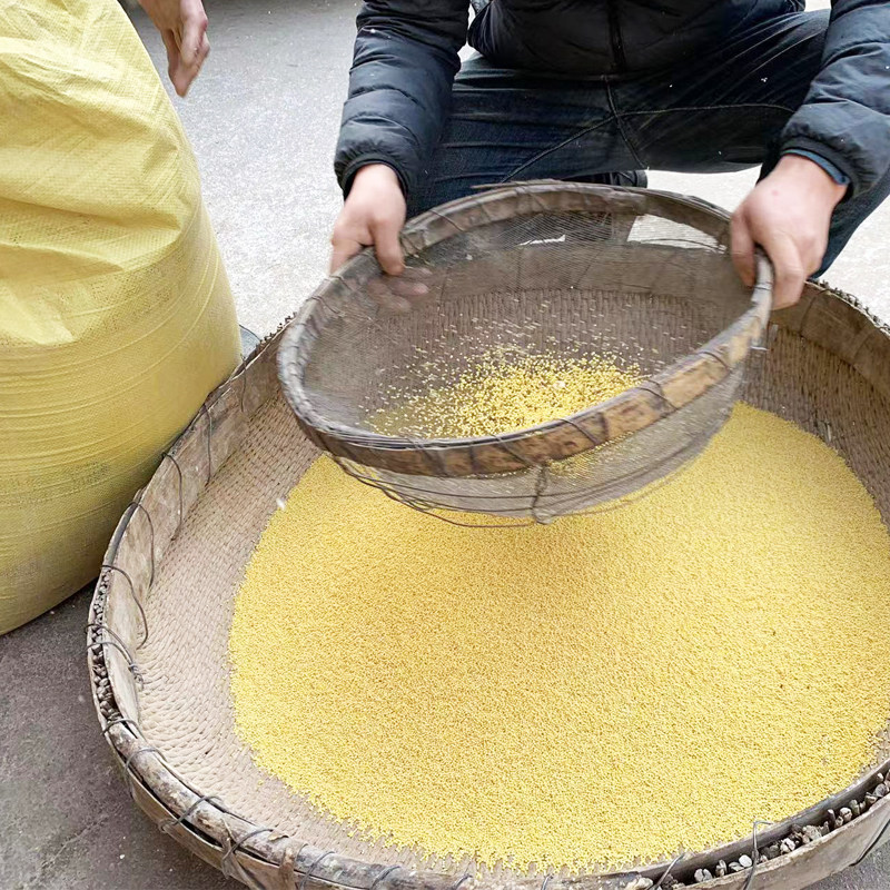 山西特产正宗大黄米新米黏黍子米软粘糯米粽子非东北旗舰店,淘宝优惠券,粉丝福利购,淘宝优惠卷