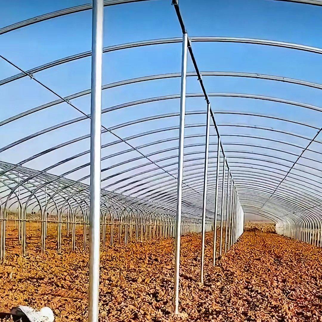 大棚骨架种植蔬菜养殖温室定制冷棚暖棚连体棚镀锌圆管椭圆管钢架,淘宝优惠券,粉丝福利购,淘宝优惠卷