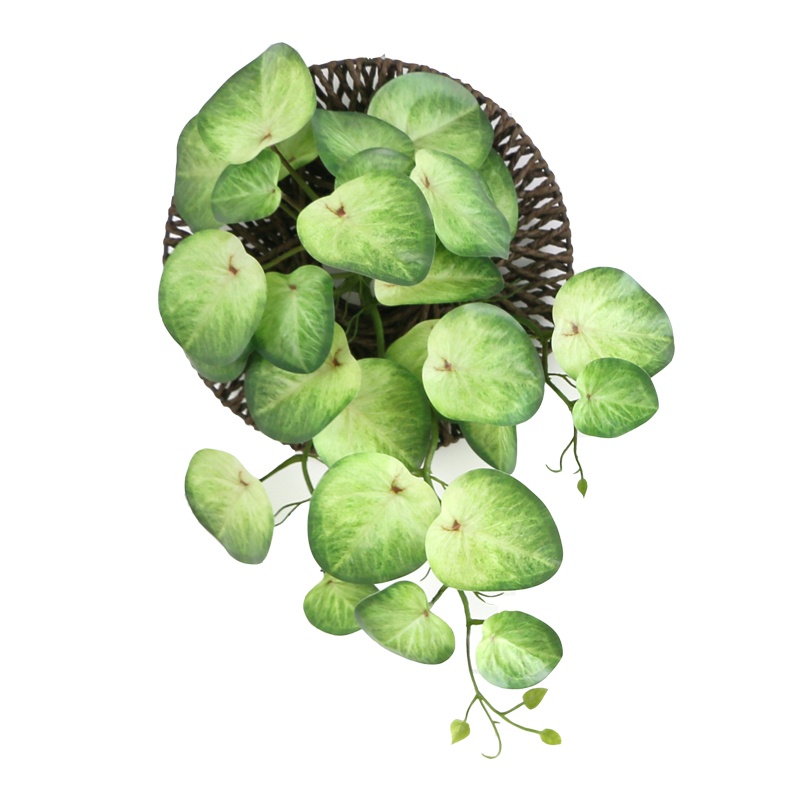 仿真绿植挂墙墙面壁挂墙壁挂植物假装饰假花室内吊兰墙上墙花吊花 - 图3