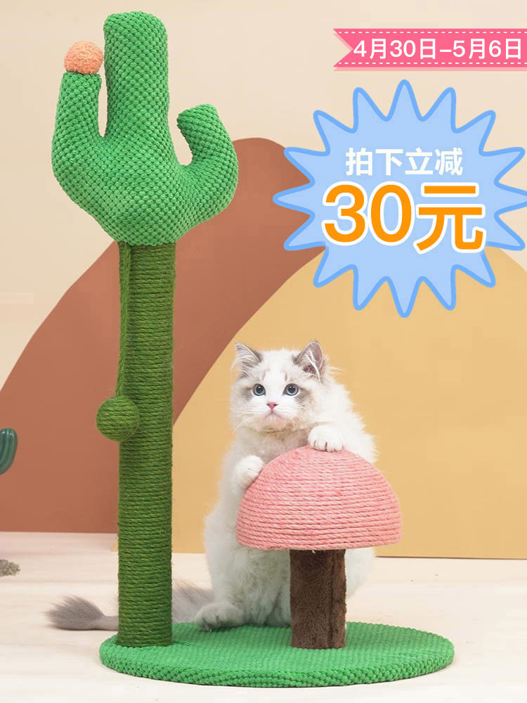 猫树玩推荐品牌 新人首单立减十元 21年6月 淘宝海外