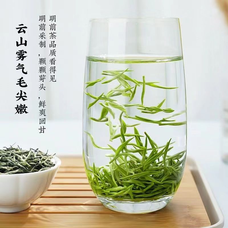 毛尖茶叶绿茶一级信阳毛尖2023新茶一芽一叶明前嫩芽浓香型250g