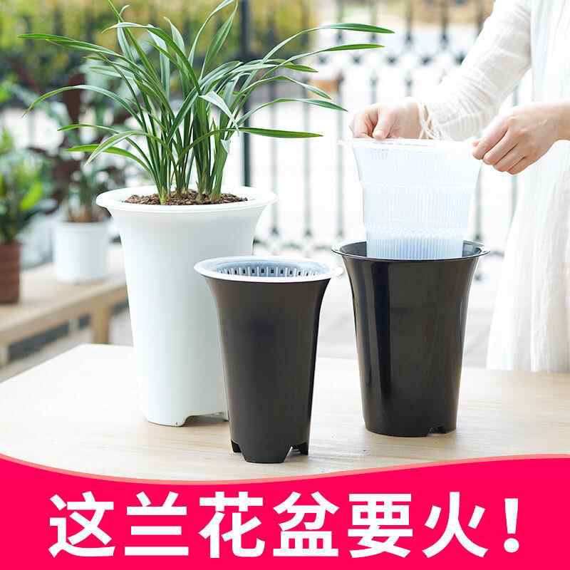 透明花盆控根 新人首单立减十元 21年12月 淘宝海外
