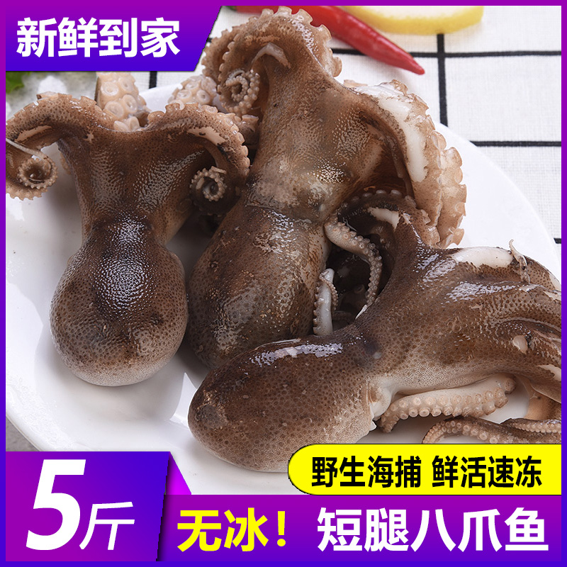  嵩海生鲜冷冻章鱼