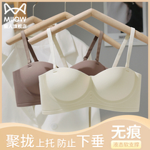 Cat person lingerie female small breasts polyplethora with large bra shoulder strap no trace back and no steel ring bra autumn and winter