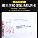 Pig pregnancy test card sow pregnancy test paper pig early pregnancy test stick sow pregnancy test paper pig farm equipment