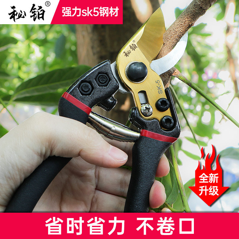剪枝剪刀花剪sk5园艺剪刀强力果树修枝剪省力剪树枝剪刀粗枝专用_虎窝淘