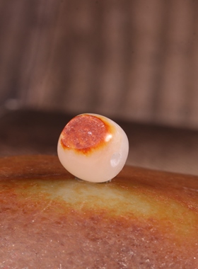 新疆和田玉籽料红皮老型珠手链