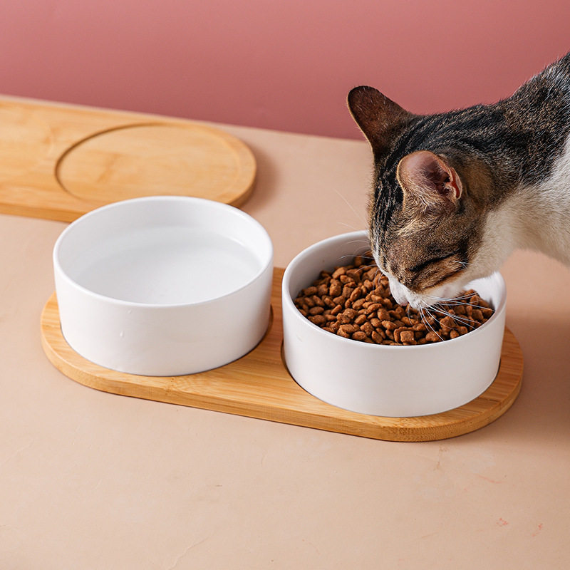 新品 陶瓷猫碗猫咪食盆狗盆狗碗饮水碗粮碗保护颈椎宠物用品陶瓷,淘宝优惠券,粉丝福利购,淘宝优惠卷