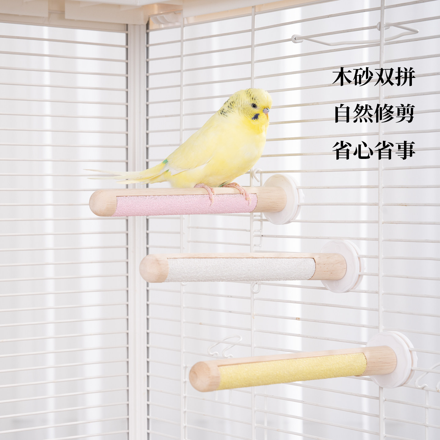 鹦鹉双拼磨砂磨爪棒站杆玄风牡丹专用实木站棍鸟笼配件啃咬玩具,淘宝优惠券,粉丝福利购,淘宝优惠卷