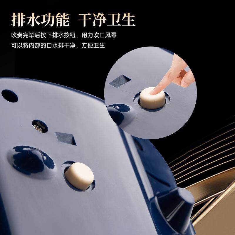 飞繁32键37键口风琴小学生儿童初学者乐器专业演奏级成人口风琴,淘宝优惠券,粉丝福利购,淘宝优惠卷