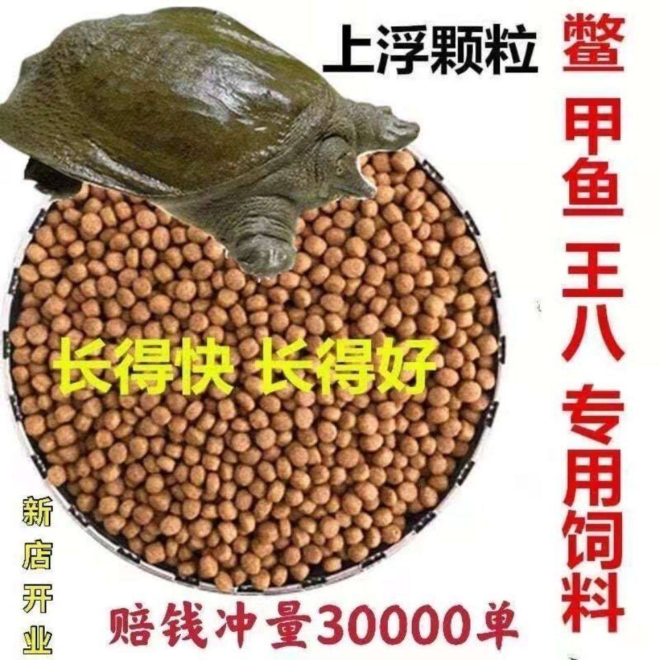 甲鱼鳖饲料中华鳖水团鱼小甲鱼饲料王八饲料珍珠鳖饲料乌龟粮,淘宝优惠券,粉丝福利购,淘宝优惠卷