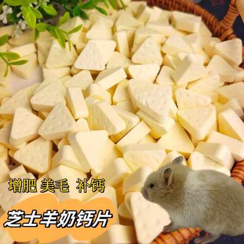 仓鼠芝士羊奶钙片补钙磨牙零食增强免疫补充营养金丝熊花枝鼠专用 - 图0