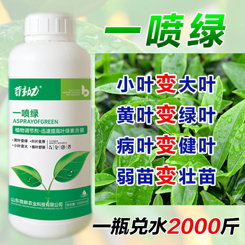 黄叶一喷绿微量元素肥料叶面肥水溶肥料绿植果树花卉植物通用肥料 缇沫农资店 淘优券