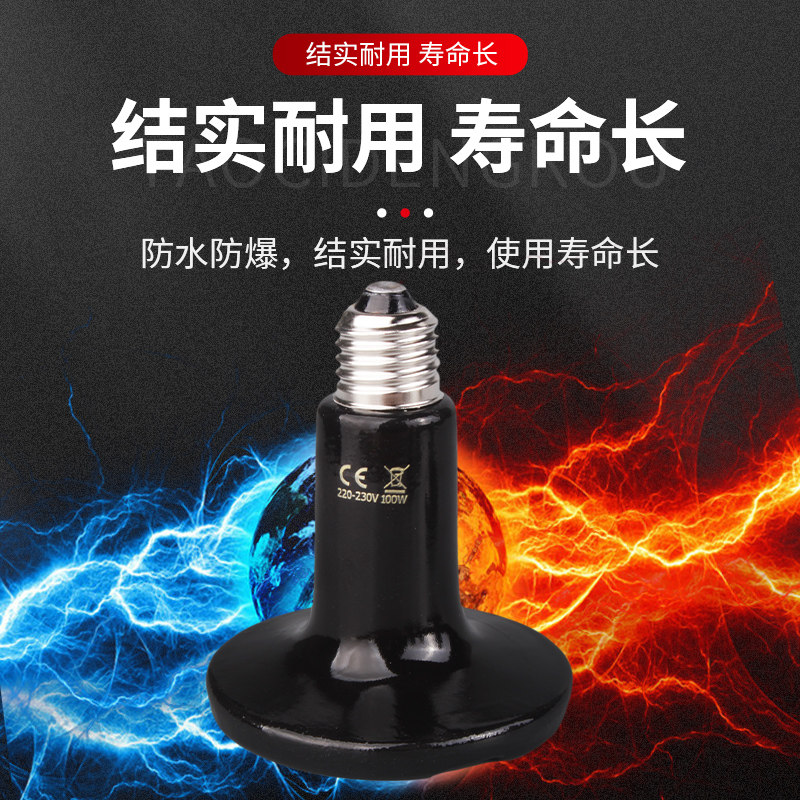 陶瓷加热灯爬虫宠物加热无光灯陆龟蜥蜴晒背保温灯泡鹦鹉温控夜灯,淘宝优惠券,粉丝福利购,淘宝优惠卷