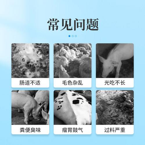加酶益生素兽用猪牛羊禽狗调节肠胃促进消化畜禽用催肥饲料添加剂 - 图0