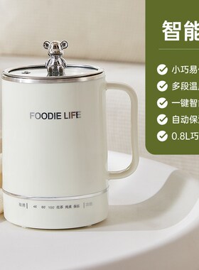 便携式烧水杯加热小型旅行电热水杯迷你电炖杯保温泡面电煮杯泡奶