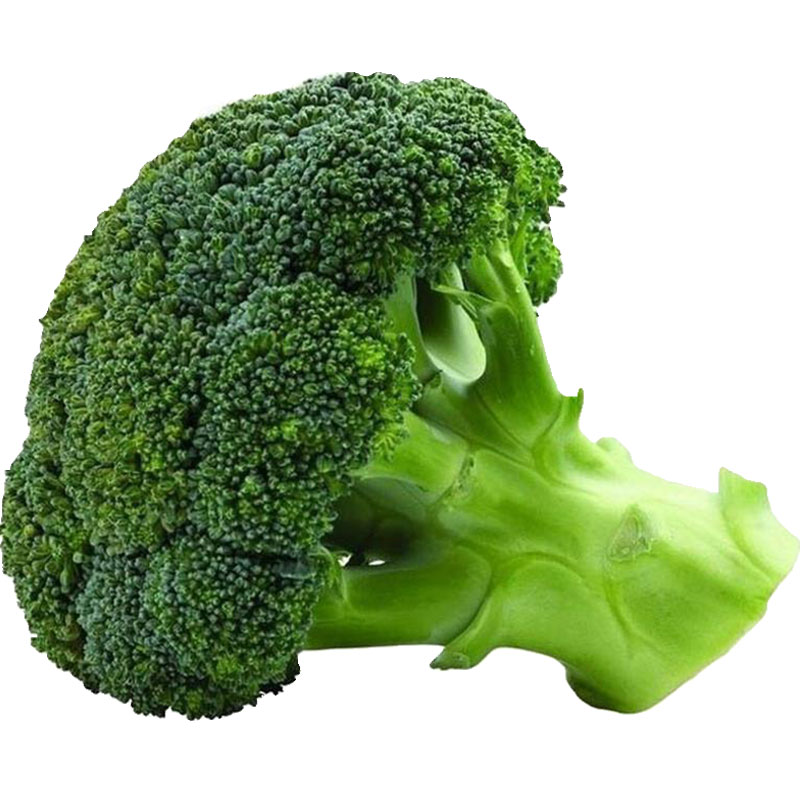 西兰花种籽西兰花种子有机蔬青甘蓝包菜花菜种籽花籽孑西蓝花四季 双子种业集团 淘优券