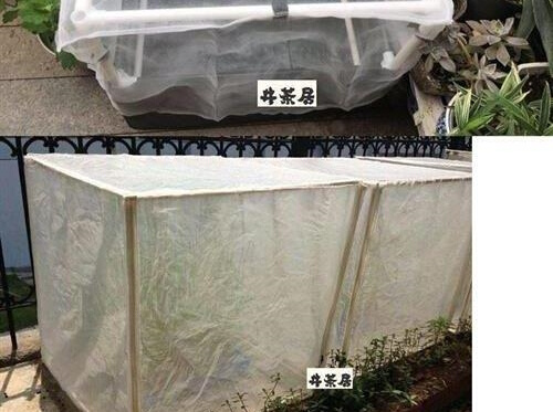 防虫网纱网 菜园子网 遮菜网农用防虫网加厚加密防虫网大棚遮虫网 - 图1