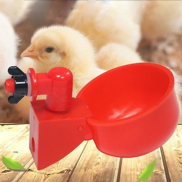 1Pcs Automatic Poultry Drinker Bowl Chicken Bird Water Cups - 图0