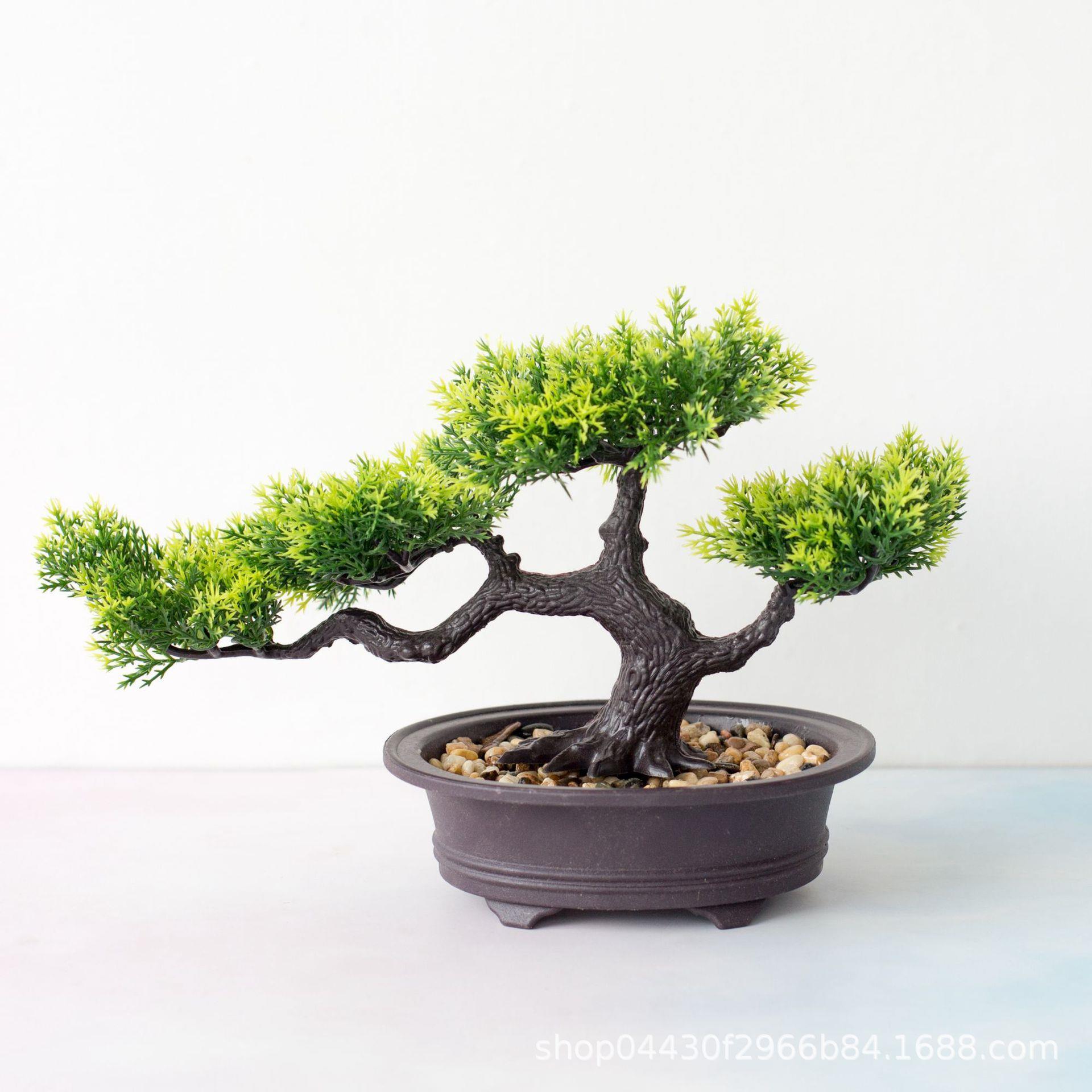 Welcome pine bonsai decoration simulation plant bonsai home - 图1