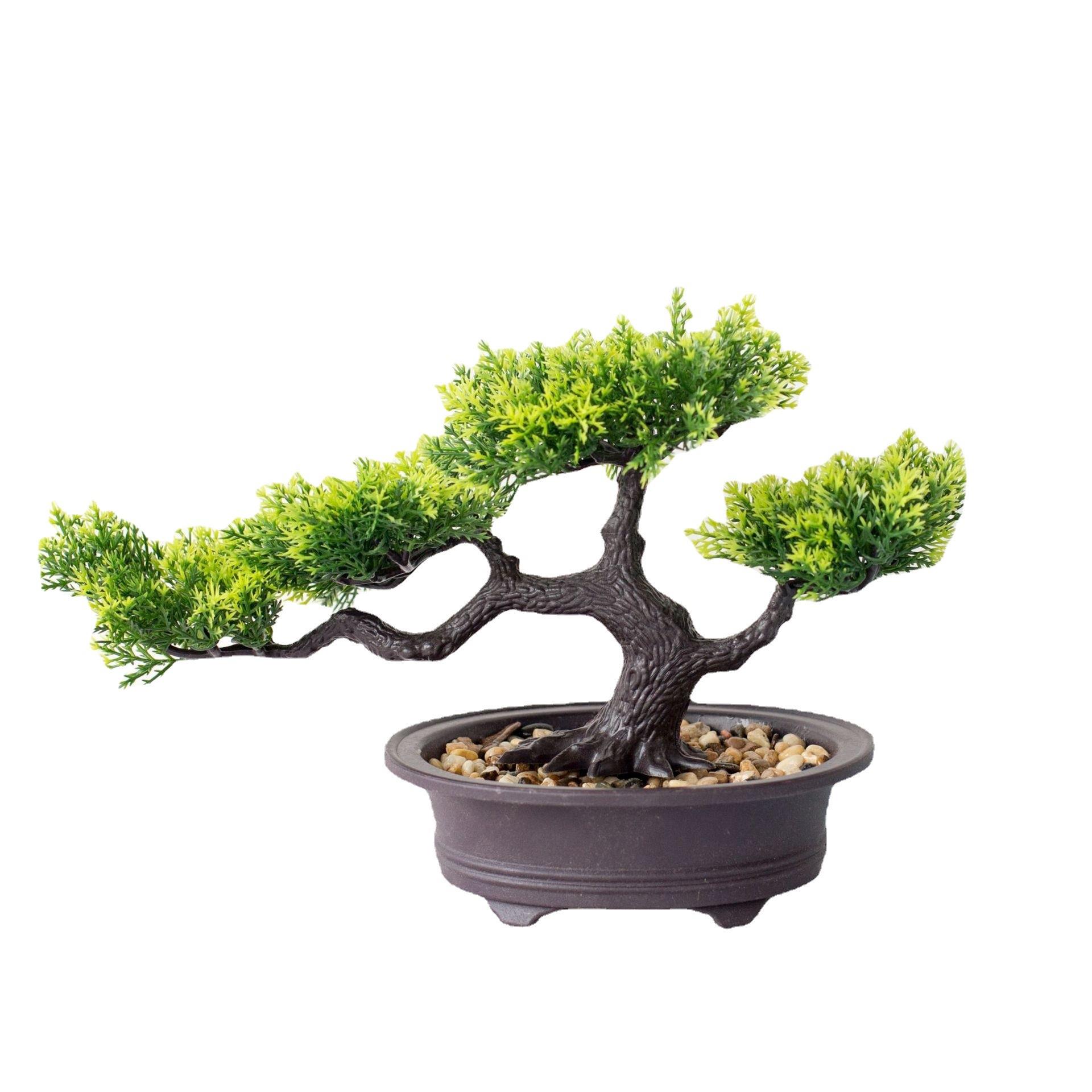 Welcome pine bonsai decoration simulation plant bonsai home - 图3