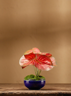 假花盆景金边兰仿真花艺摆件