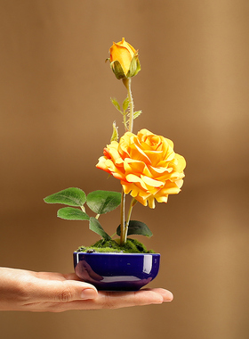 蝴蝶兰花艺仿真小盆栽