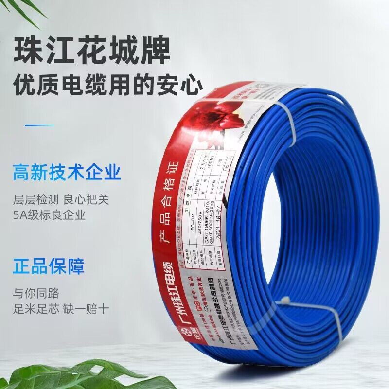 广州花城珠江电线1电缆BV1.5单股2.5平方铜芯4国标6单皮硬线10/16 - 图0