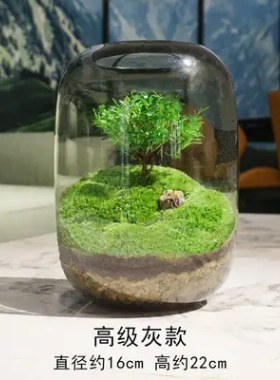 创意桌面微景观花瓶DIY绿植