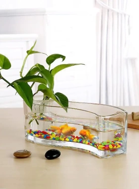 水培植物玻璃缸长方形s型透明