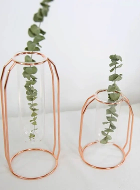金属花架试管透明玻璃花瓶简约