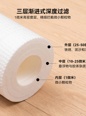 10寸pp滤芯盛旗净水器物理过滤