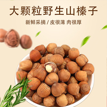 2023 Iron Ridge Wild Hazelnut Nuts Northeast special production hand pat Mountain Zhizhen Cooked New Goods Pregnant Women Food Casual Snacks