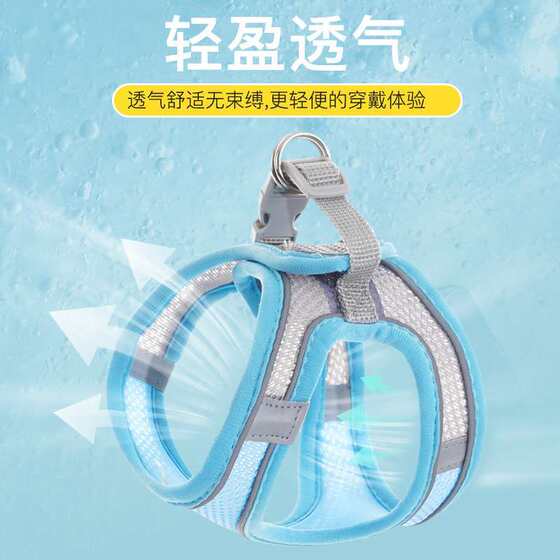 Spring and summer cat traction rope to prevent break-away when going out