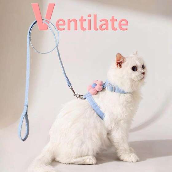 Cat traction rope, anti-breakaway, special I-shaped cat walking rope, adjustable cat walking rope, kitten traction rope