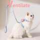 Cat traction rope, anti-breakaway, special I-shaped cat walking rope, adjustable cat walking rope, kitten traction rope