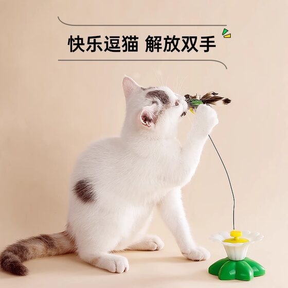 Cat toy electric butterfly self-pleasure to relieve boredom and amuse the cat toy