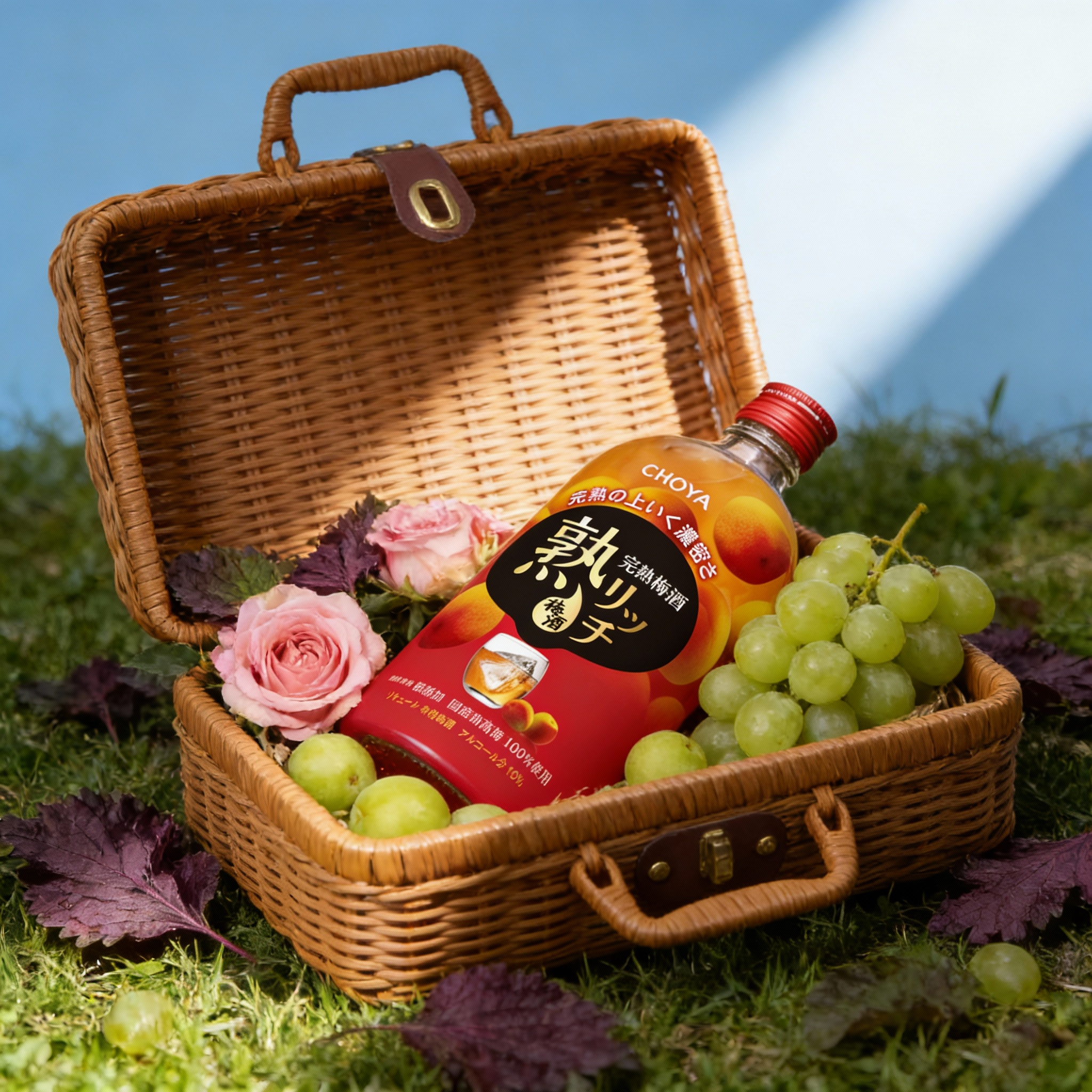 CHOYA俏雅蝶矢熟成梅酒720ml组合两瓶2025年新 - 图3