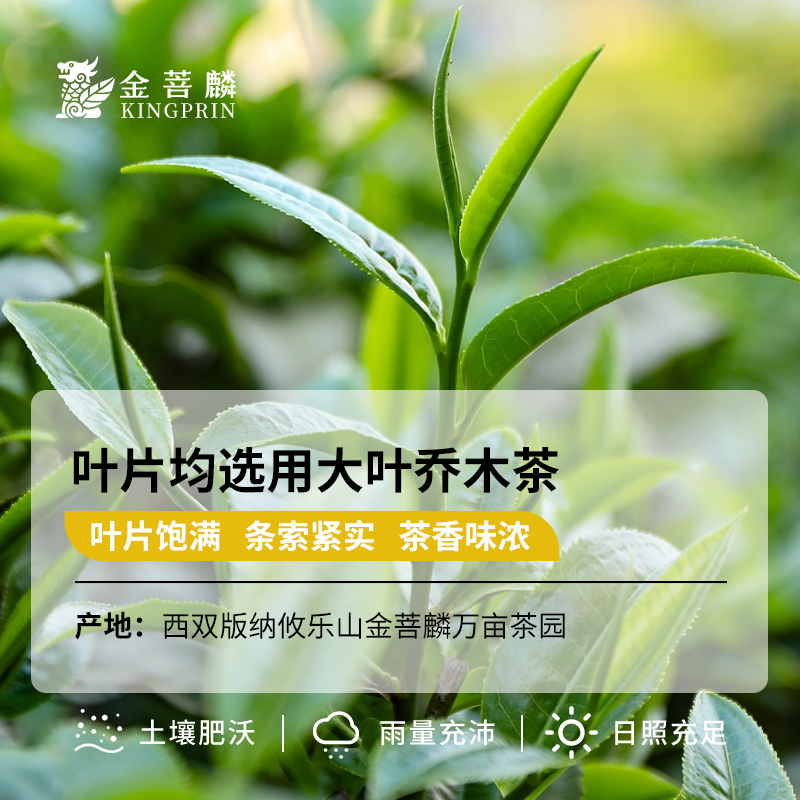 金菩麟庄园月光白茶普洱云南古树白茶月光美人茶叶寻味新茶组合装