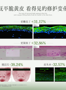 【天猫U先】雾屿森林精研特护面霜12g 赠20元正装回购券