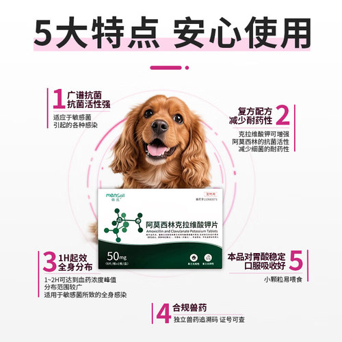 萌氏阿莫西林克拉维酸钾宠物感冒咳嗽消炎药片猫咪狗狗速诺同成分 - 图3