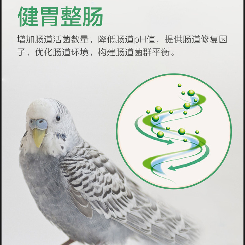 鹦鹉益生菌活菌鹦鹉拉水便消化慢鸟用肠道营养补充剂日常保健,淘宝优惠券,粉丝福利购,淘宝优惠卷