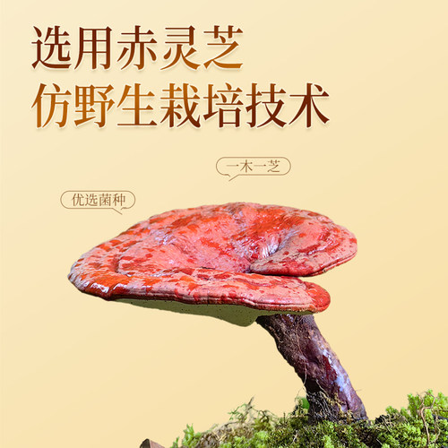 【官方自营】胡庆余堂大药房旗舰店破壁灵芝孢子粉送礼增强免疫力 - 图0