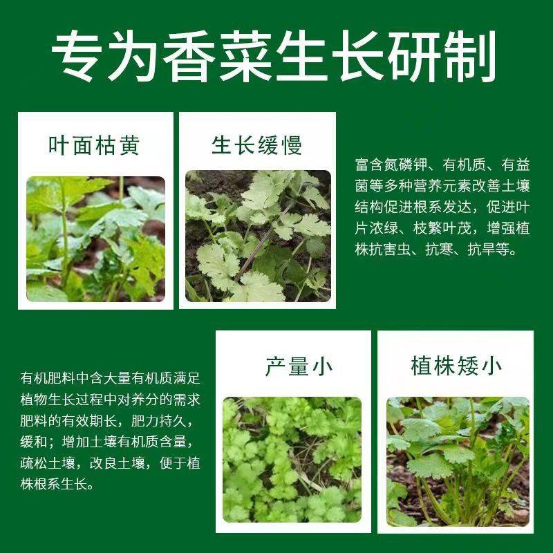 香菜专用肥抗重茬底肥生根壮苗营养液增产增收叶绿素缓释颗粒肥料-图2