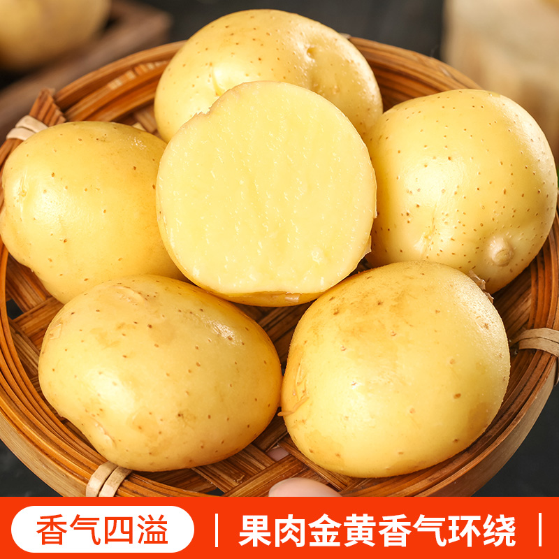 恩施新鲜小土豆包邮时令蔬菜富硒黄心士豆迷你高山洋芋珍珠马铃薯