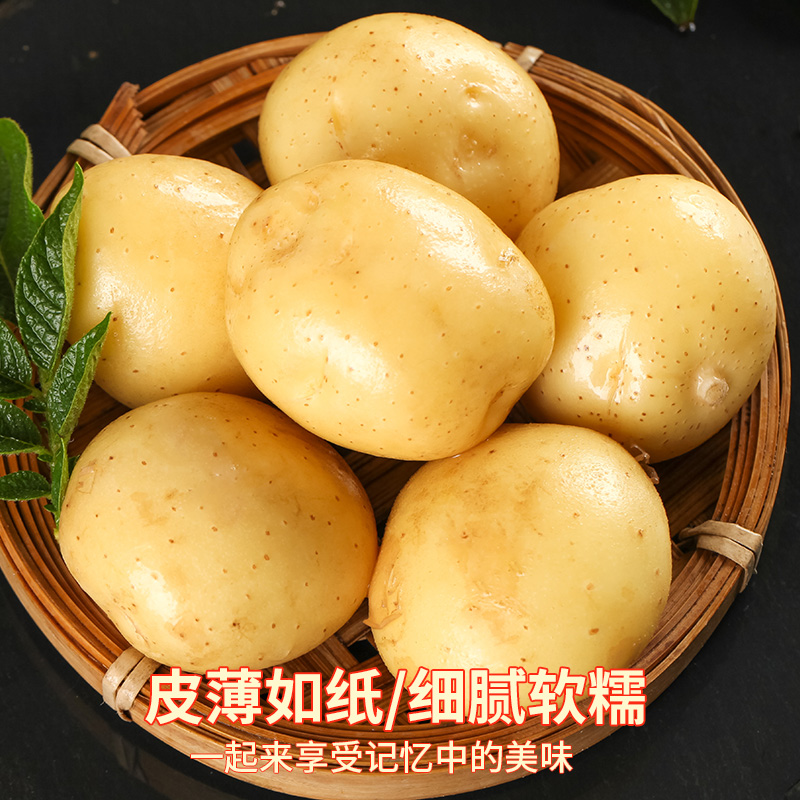湖北恩施大土豆批发新鲜蔬菜包邮高山士豆现发黄心富硒马铃薯洋芋