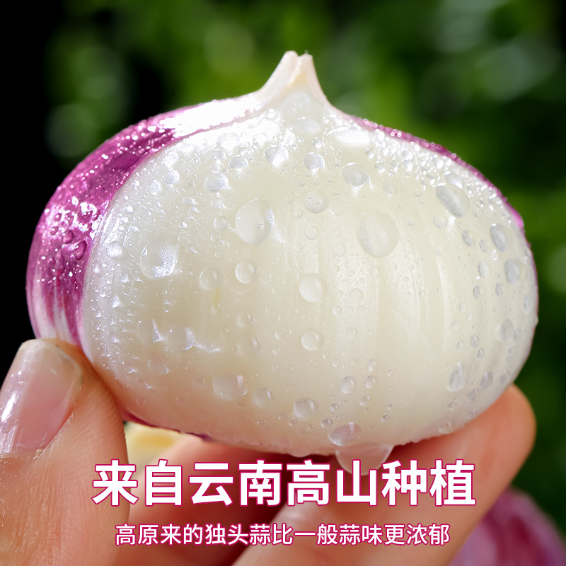 紫皮独头蒜云南紫皮大蒜蒜头湿蒜5斤2025年独蒜新鲜新蒜大蒜头10
