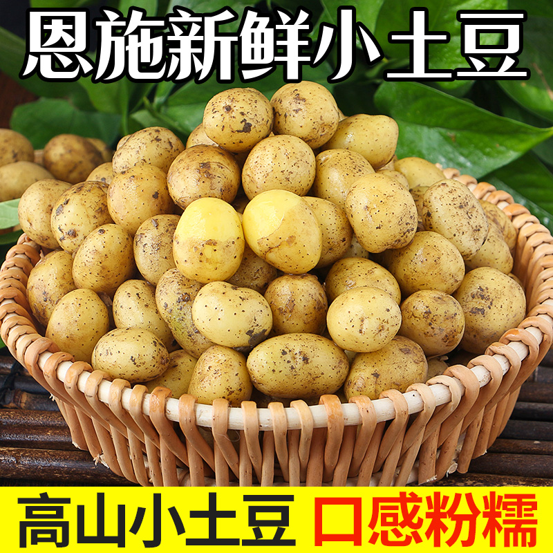 恩施小土豆10斤正宗包邮富硒新鲜洋芋迷你黄心士豆湖北马铃薯蔬菜 - 图1