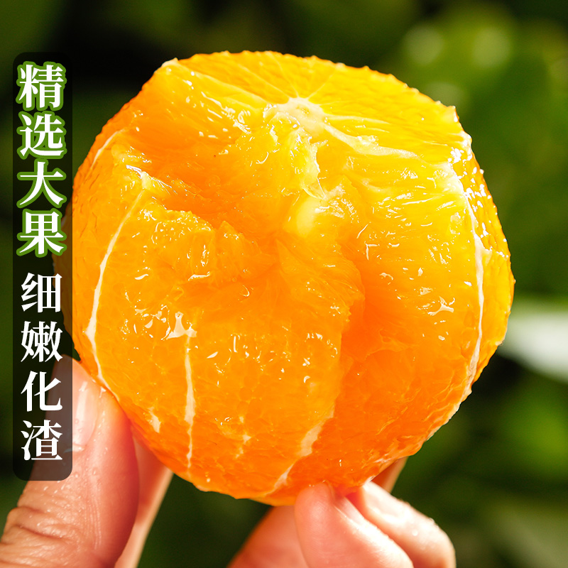 伦晚春橙湖北秭归新鲜时令水果甜橙赣爱南媛10冰糖果冻斤脐橙当季