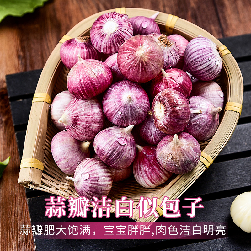 独头蒜紫皮云南2025湿蒜5斤独蒜大蒜头批发新蒜新鲜蒜头干大蒜10